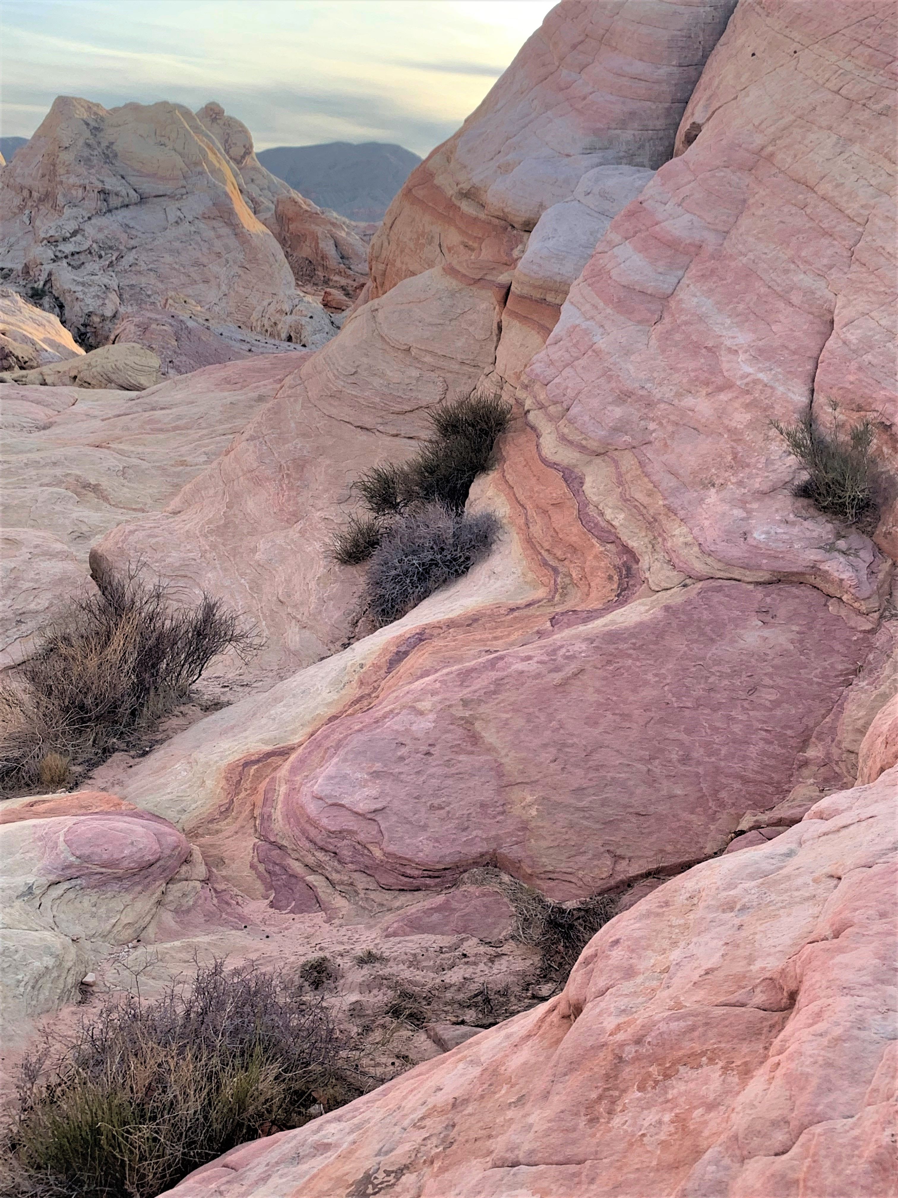 Nevada